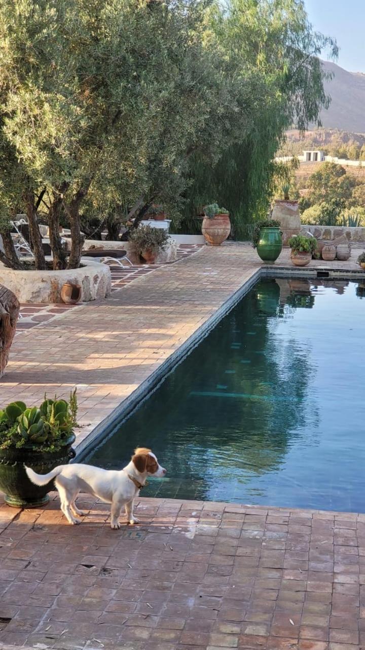 Sel D Ailleurs, Atlas Mountain Retreat - Adults Only Ouirgane Exterior photo