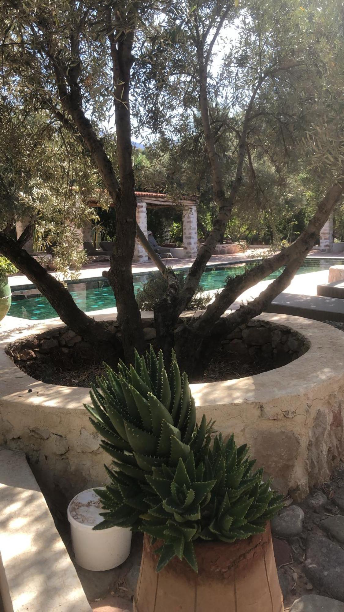 Sel D Ailleurs, Atlas Mountain Retreat - Adults Only Ouirgane Exterior photo