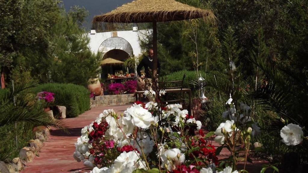 Sel D Ailleurs, Atlas Mountain Retreat - Adults Only Ouirgane Exterior photo